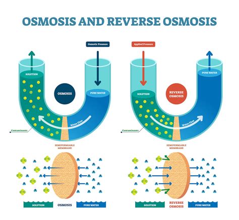 Reverse Osmosis